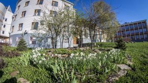 IMG_1517 (24.04.2016)