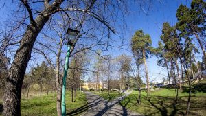 IMG_1538 (24.04.2016)