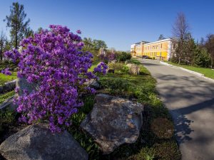 IMG_1544 (24.04.2016)