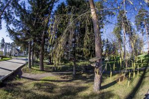 IMG_1571 (24.04.2016)