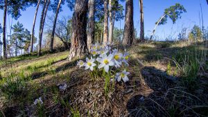 IMG_1588 (24.04.2016)