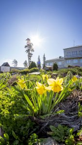 IMG_1604 (24.04.2016)