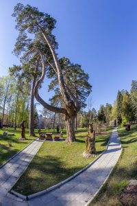 IMG_1615 (24.04.2016)