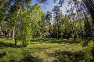 IMG_1738 (07.05.2016)