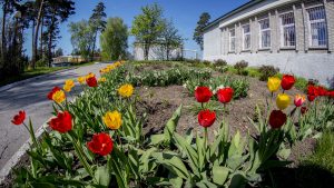 IMG_1779 (07.05.2016)