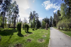 IMG_1821 (07.05.2016)